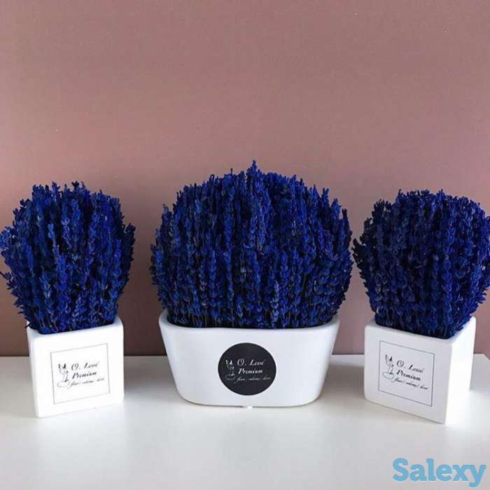 Озеленение интерьеров, фотография 2