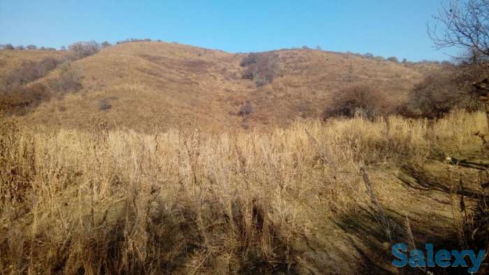 продам земельный участок 1.5 га к/х в Талгаре, район МТФ №3 вверх по Интернациональной, фотография 1