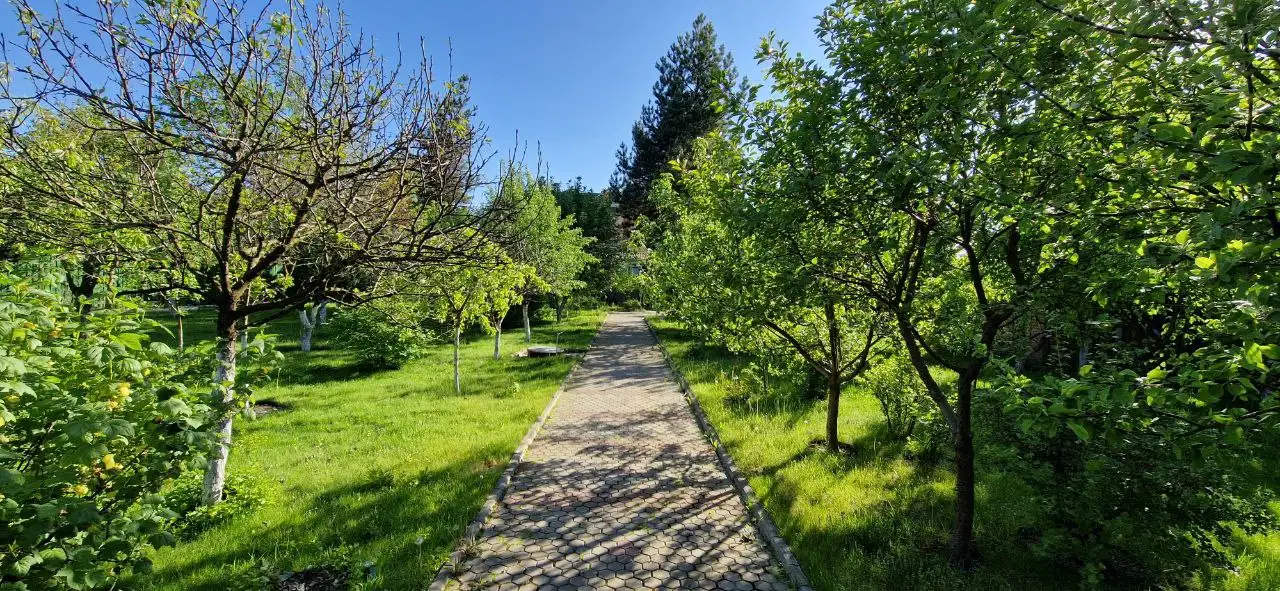 Коттедж 455 м на участке 30 сот., фотография 8