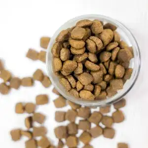 Комбикорм для собак  Стандарт, фотография 2