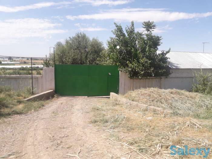 Сарай, теплица, Жаңа арық, фотография 9