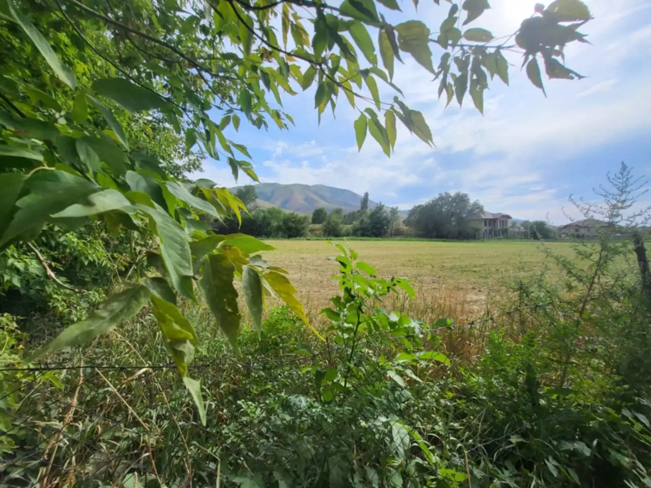 Продаем земельный участок  1 гектар возле поселка Джандосова, фотография 4