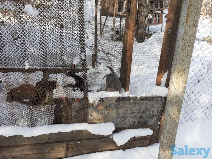 Продам дачный участок в мкр.Каменкское плато, фотография 1