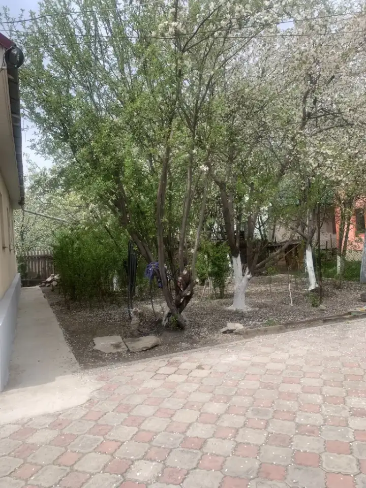 Продам дом, С.коксай, фотография 7