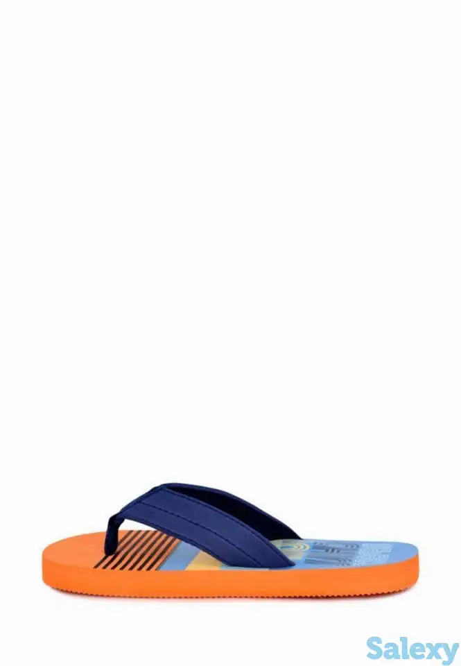 Сланцы t.taccardi, фотография 1