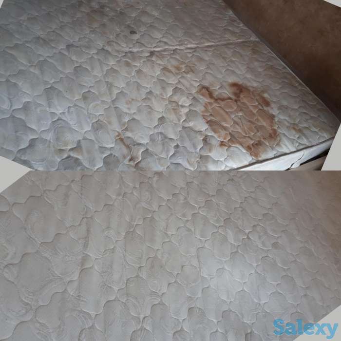 Выездная химчистка ковров и мягкой мебели, фотография 6