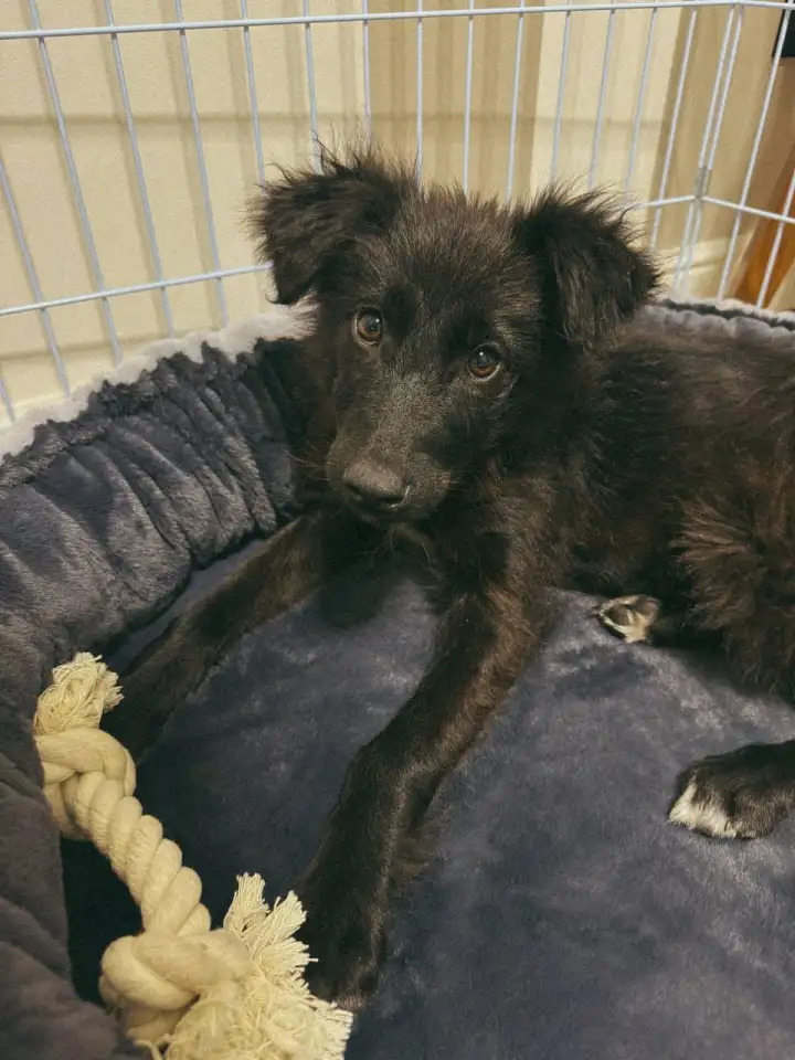 Ищет семью!, фотография 1