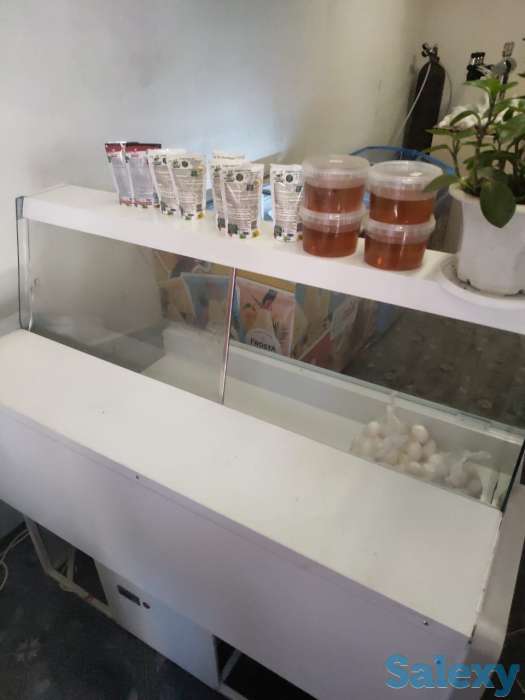 Витринный холодильник, фотография 2