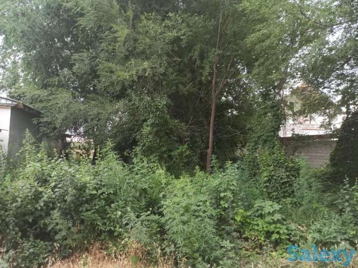 Продам участок, фотография 2