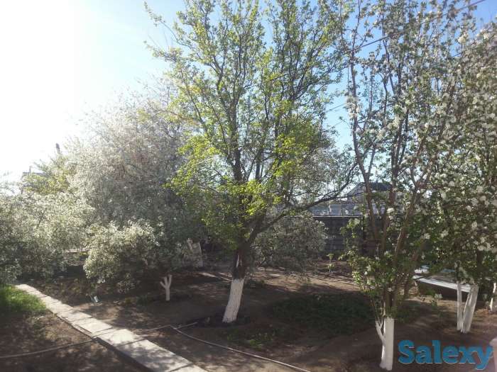 сдам в аренду благоустроенный дом в центре города Атырау(район облакимата), фотография 10