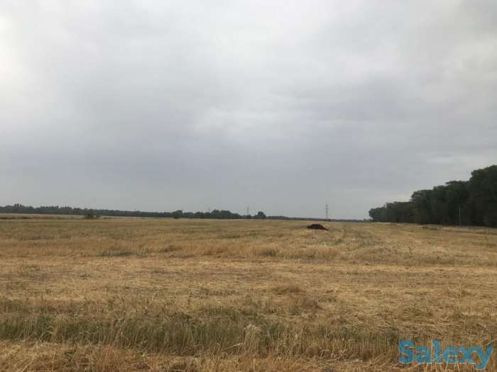 Продам землю 53 га!, район, Панфиловский сельский округ, фотография 5